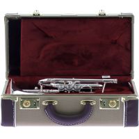 Getzen Cornet Sib Eterna Deluxe argenté - Vue 4